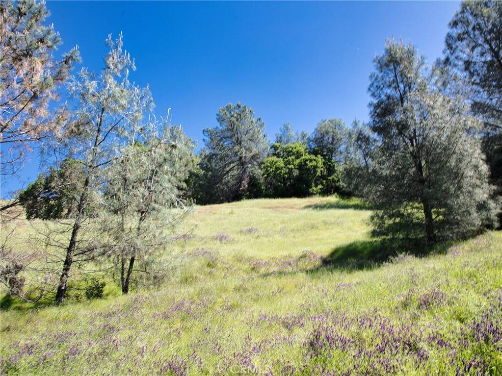 Lucerne, CA 95458,6983 Leslie RD