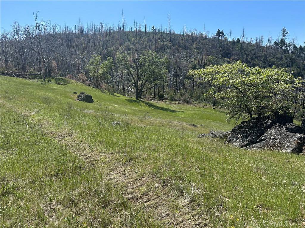 Lucerne, CA 95458,8191 Deer Valley RD