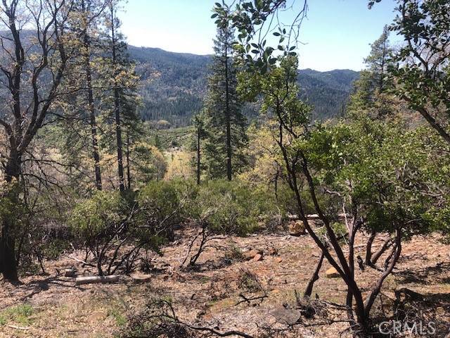 Cobb, CA 95426,9563 Fox DR