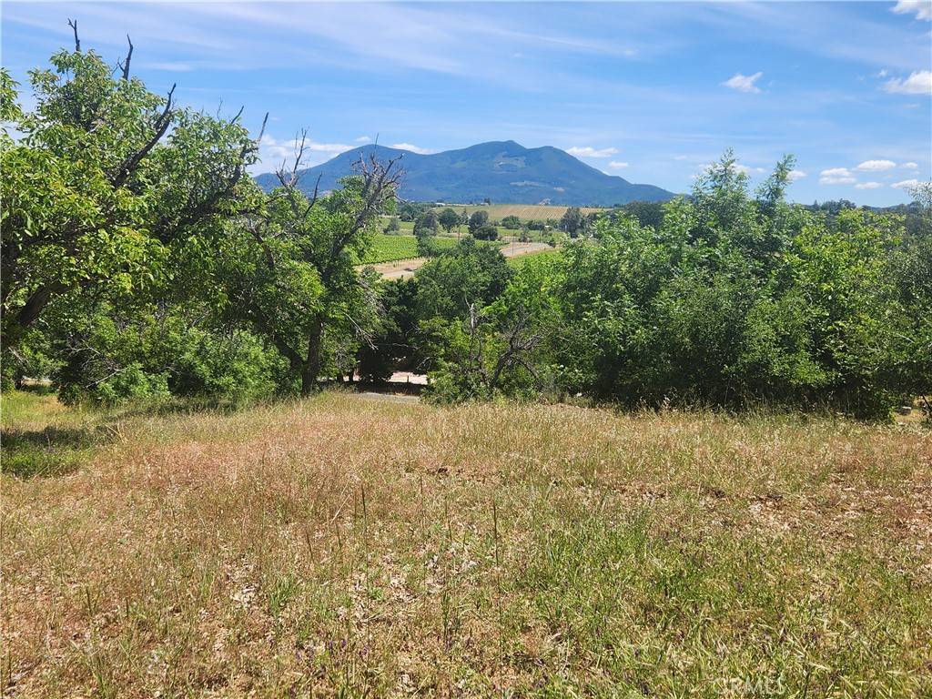 Lakeport, CA 95453,6755 Highland Springs RD
