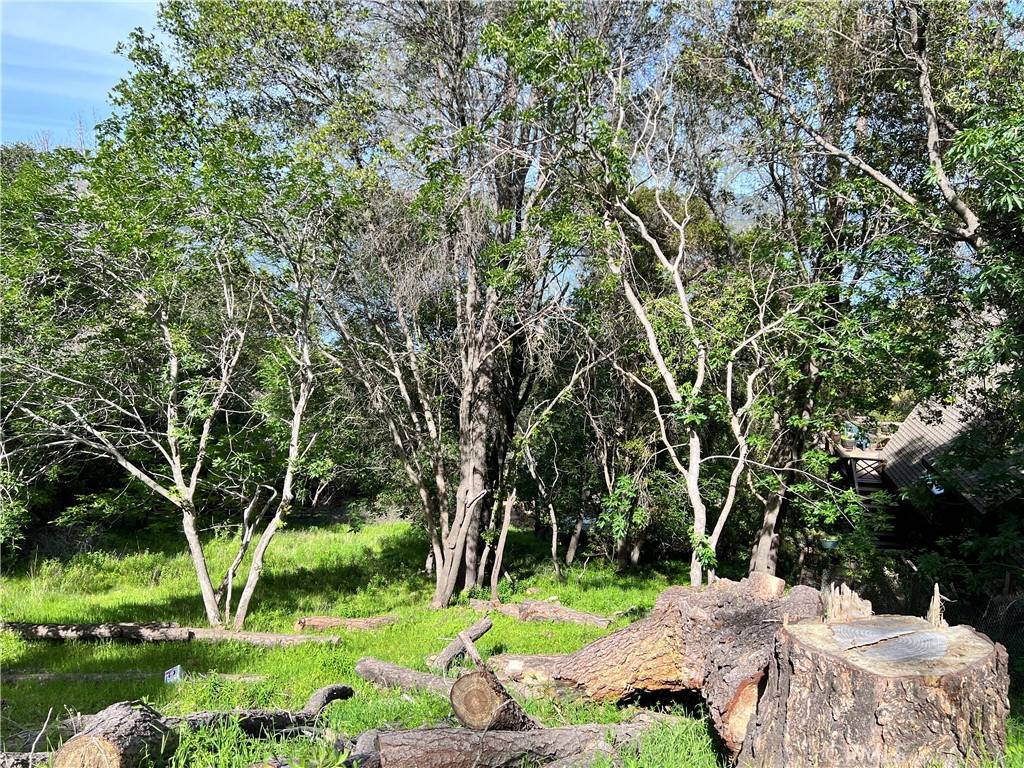 Kelseyville, CA 95451,3356 Southlake CT
