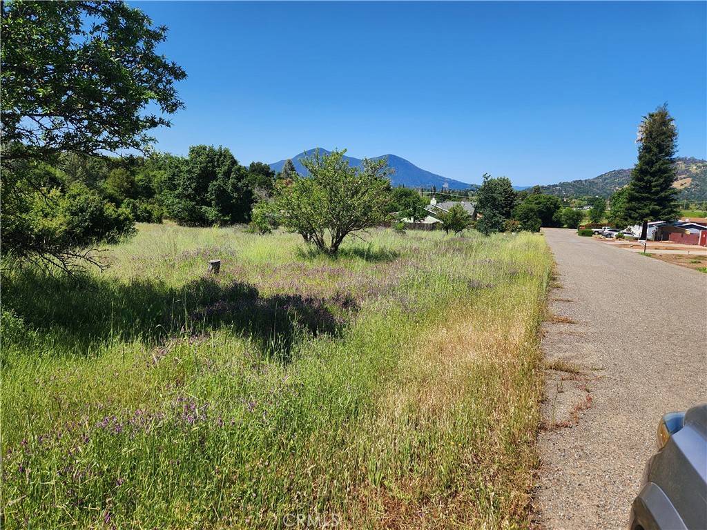 Clearlake Oaks, CA 95423,14241 Mcbride CT