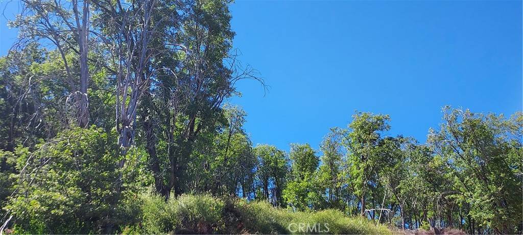 Middletown, CA 95461,11960 Loch Lomond RD