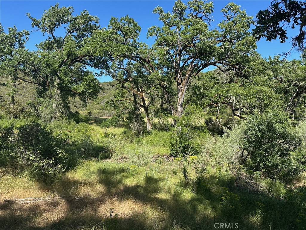 Lakeport, CA 95453,7300 Ridge RD