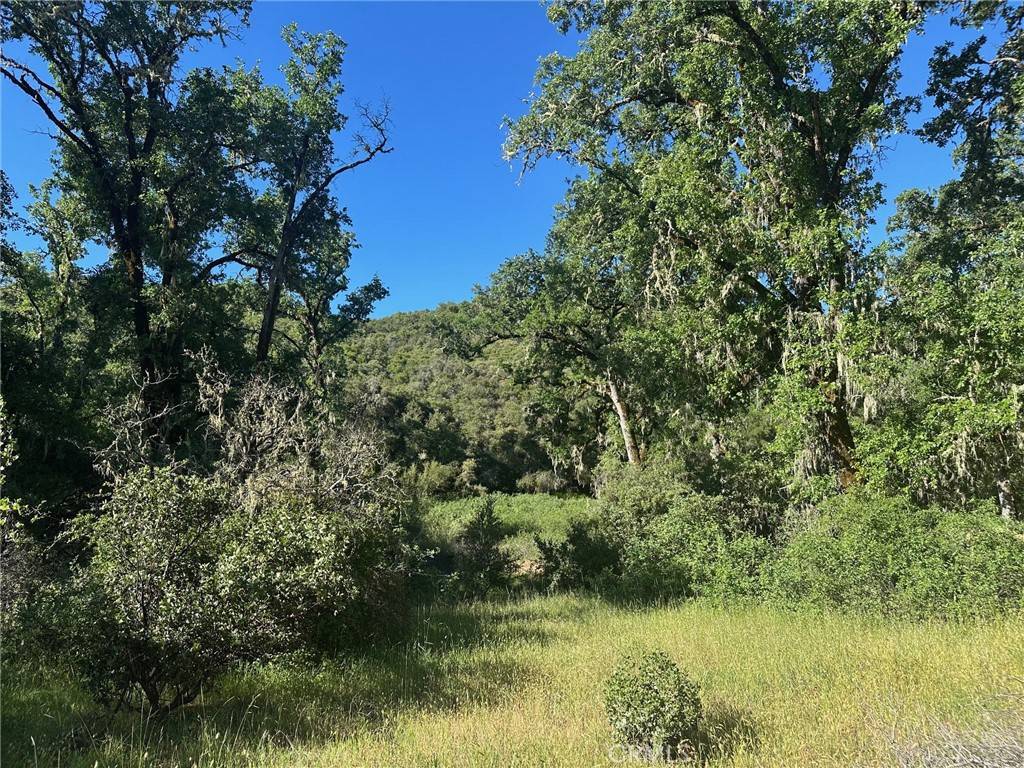 Lakeport, CA 95453,7300 Ridge RD