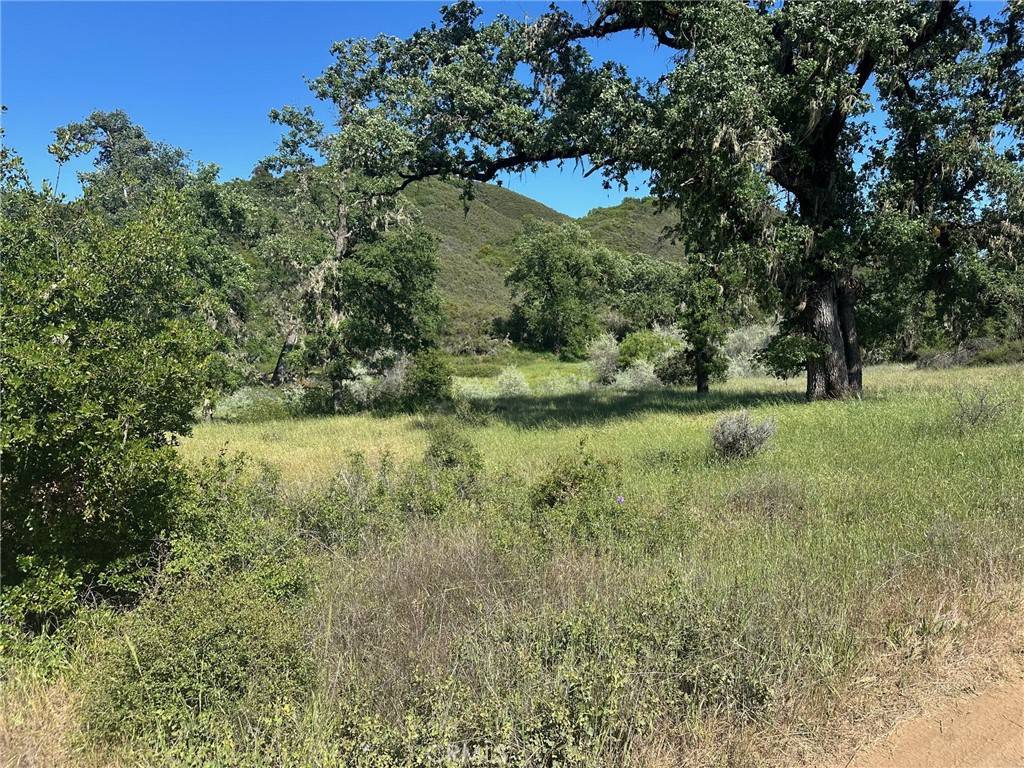Lakeport, CA 95453,7300 Ridge RD