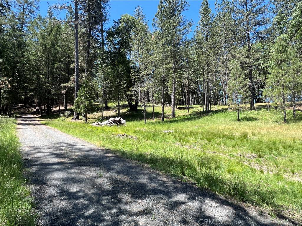 Cobb, CA 95426,15625 Bottle Rock RD