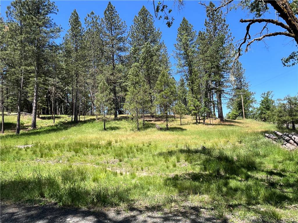 Cobb, CA 95426,15625 Bottle Rock RD