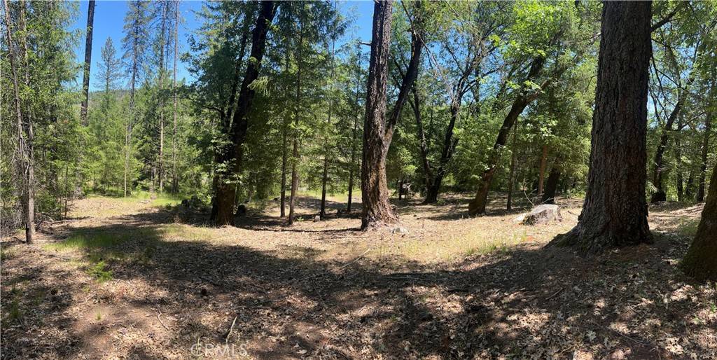 Cobb, CA 95426,15675 Bottle Rock RD