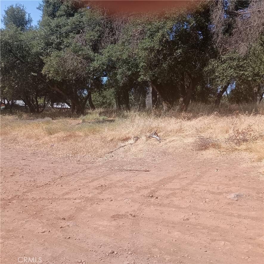 Clearlake, CA 95422,3519 Covelo ST