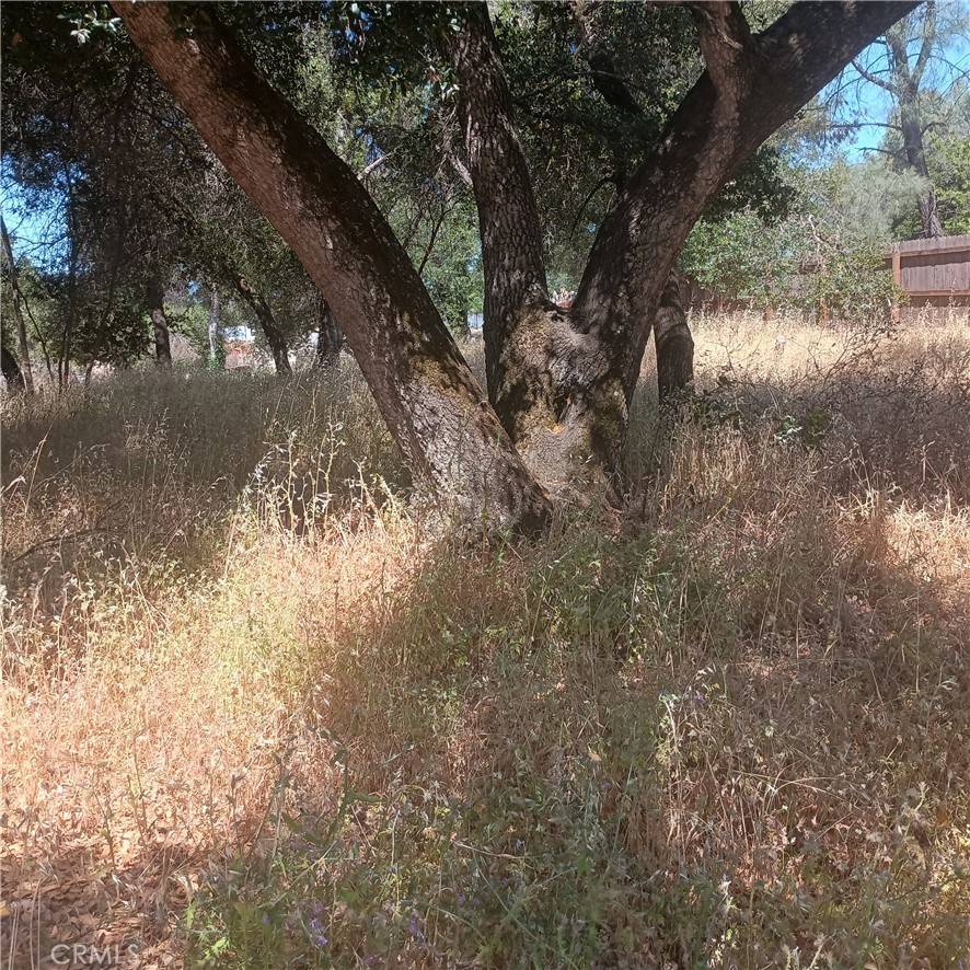 Clearlake, CA 95422,3519 Covelo ST