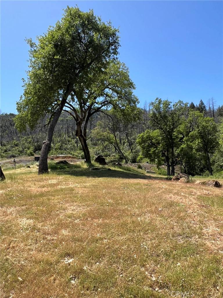 Upper Lake, CA 95485,12609 Elk Mountain RD