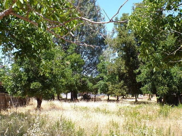 Kelseyville, CA 95451,3225 Marina View DR