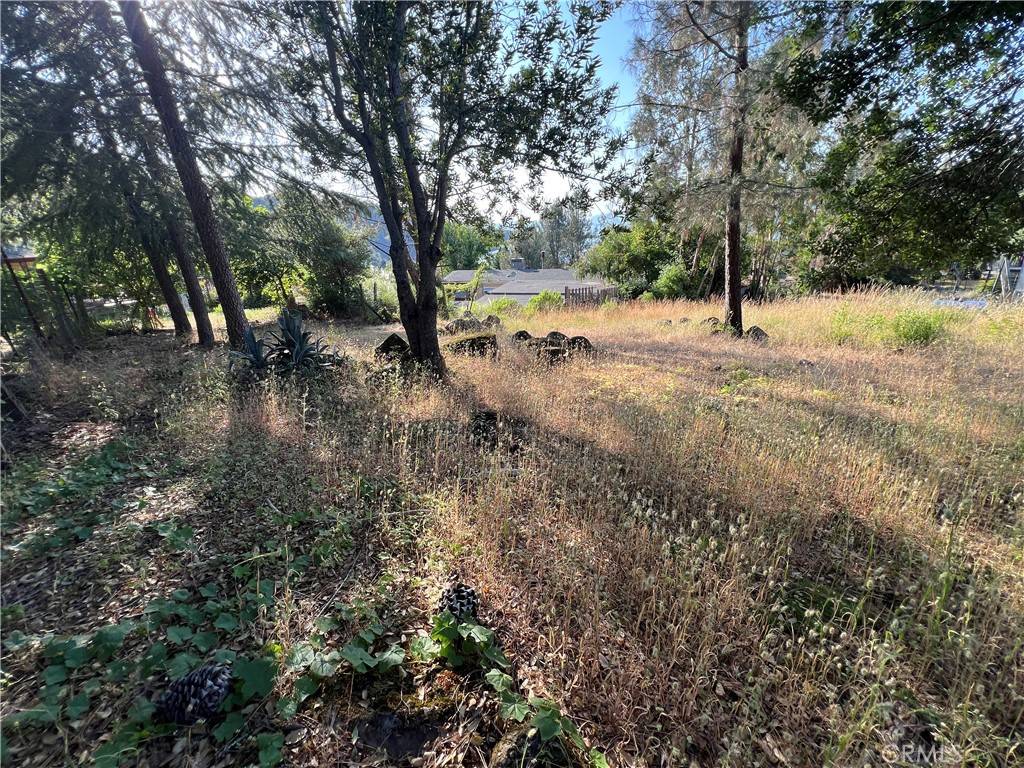 Kelseyville, CA 95451,3630 Westridge CT