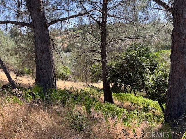 Kelseyville, CA 95451,10353 Walnut WAY