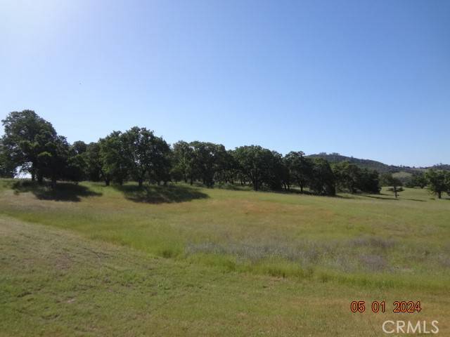 Clearlake, CA 95422,2225 Park PL