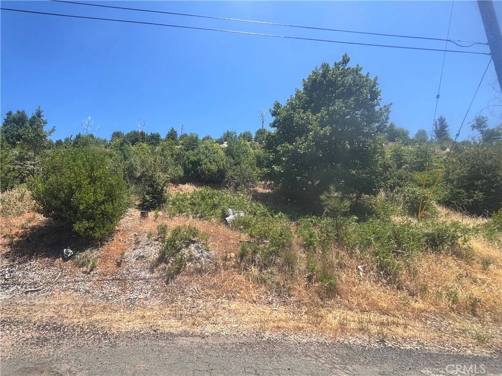 Cobb, CA 95426,15350 Evergreen DR