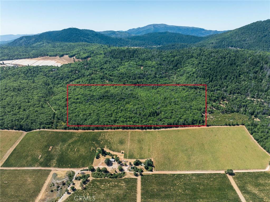 Kelseyville, CA 95451,9600 Seigler Springs North Road