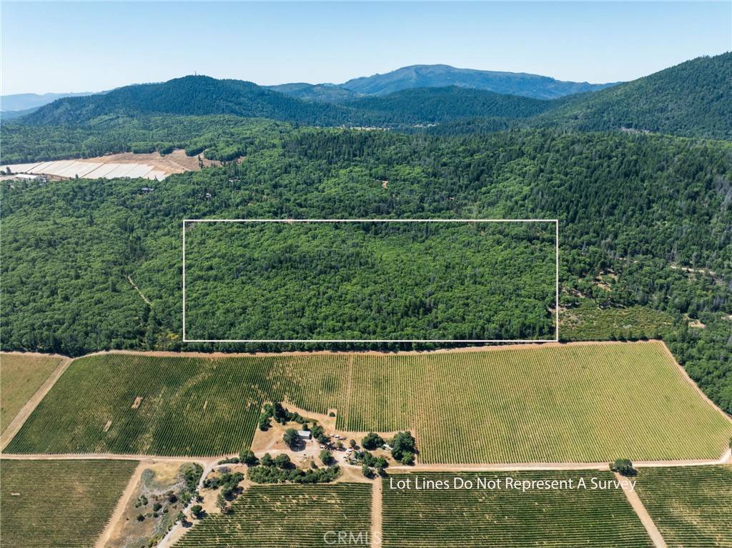 Kelseyville, CA 95451,9600 Seigler Springs North Road