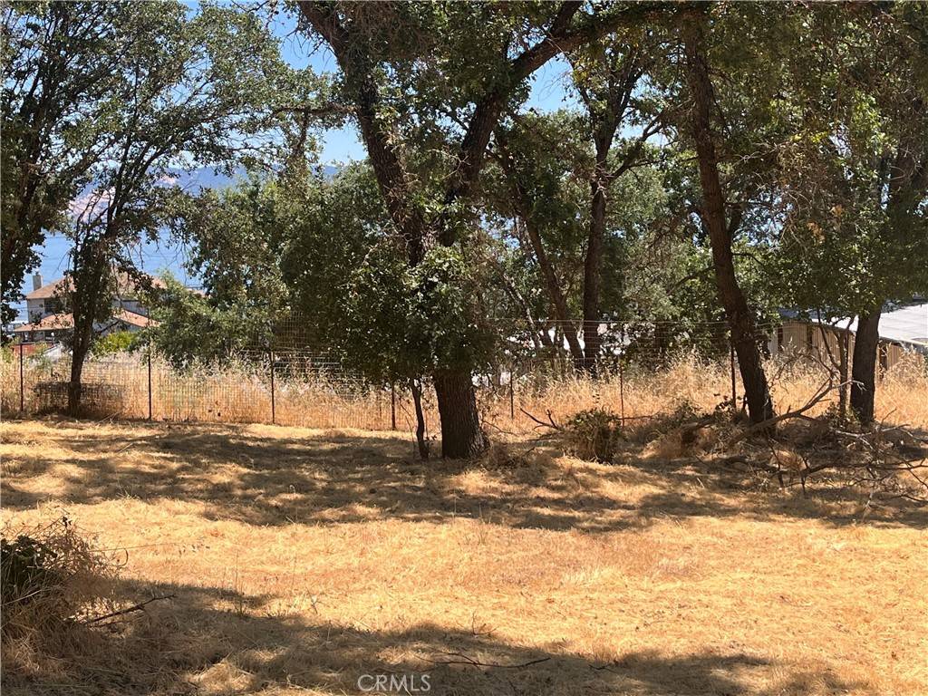 Lakeport, CA 95453,2534 Beach LN