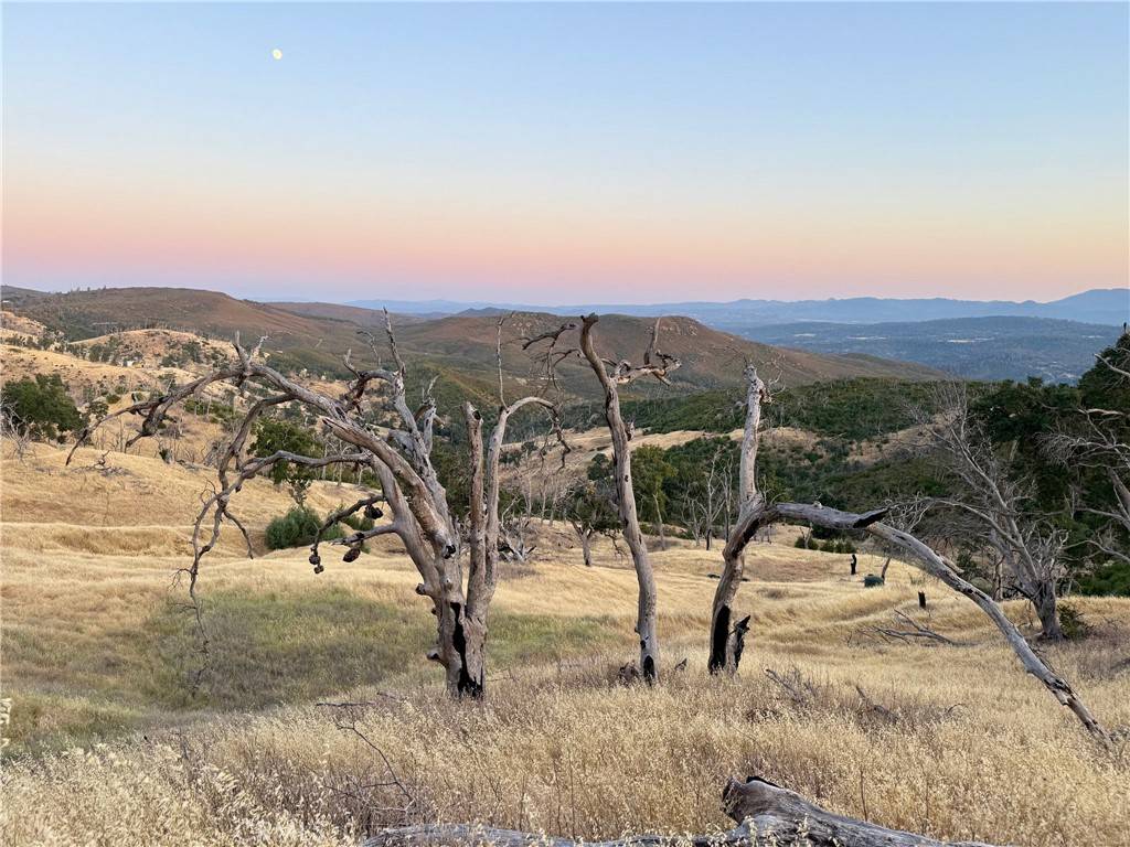 Lower Lake, CA 95457,21500 Morgan Valley RD