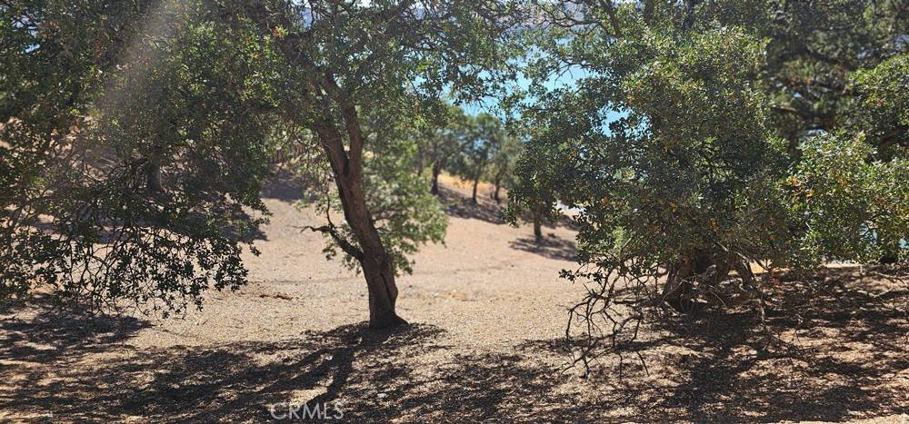 Clearlake Oaks, CA 95423,10981 Pingree RD