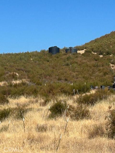 Lower Lake, CA 95457,25778 Jerusalem Grade