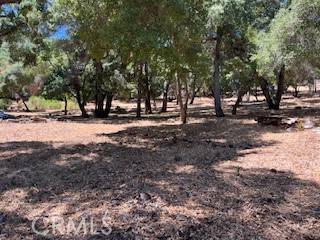 Kelseyville, CA 95451,7872 Soda Bay RD