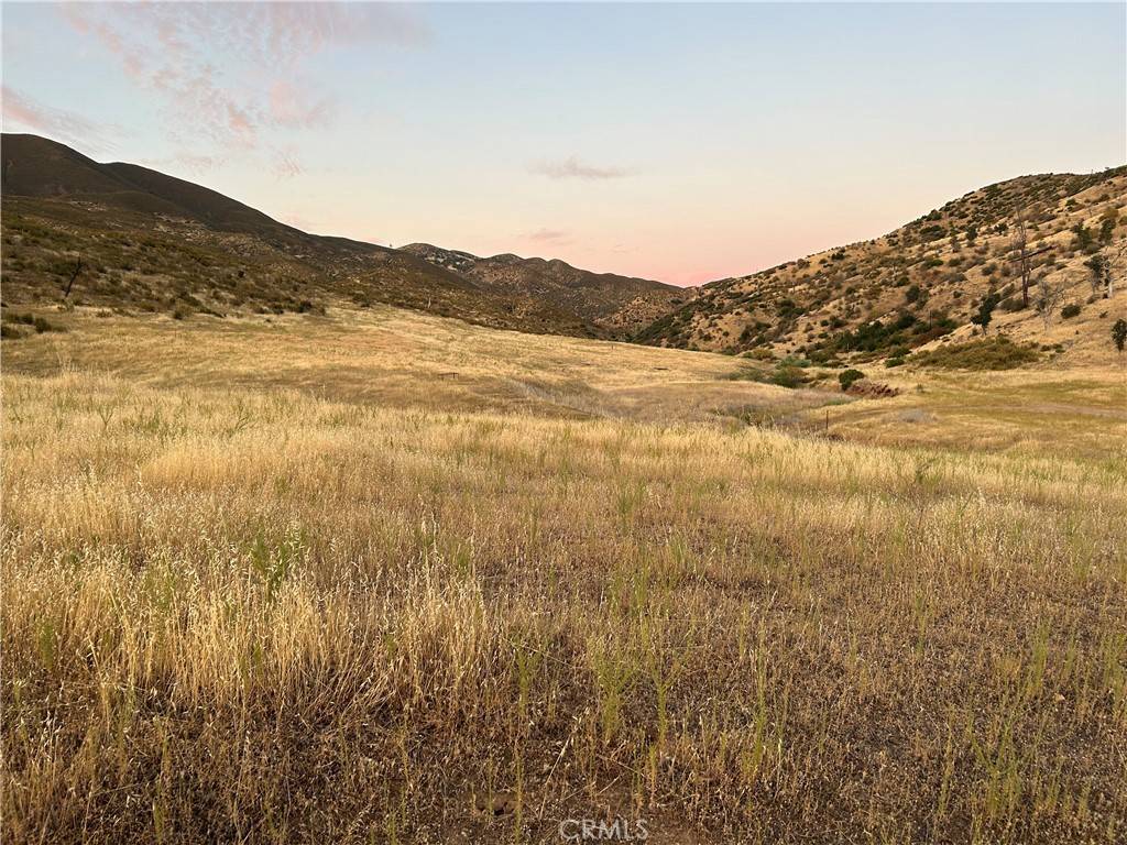 Lower Lake, CA 95457,22368 Jerusalem Grade