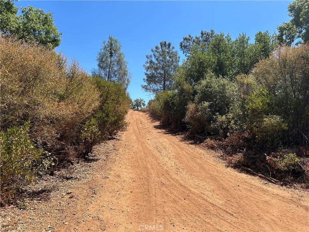 Lower Lake, CA 95457,8860 Highway 29