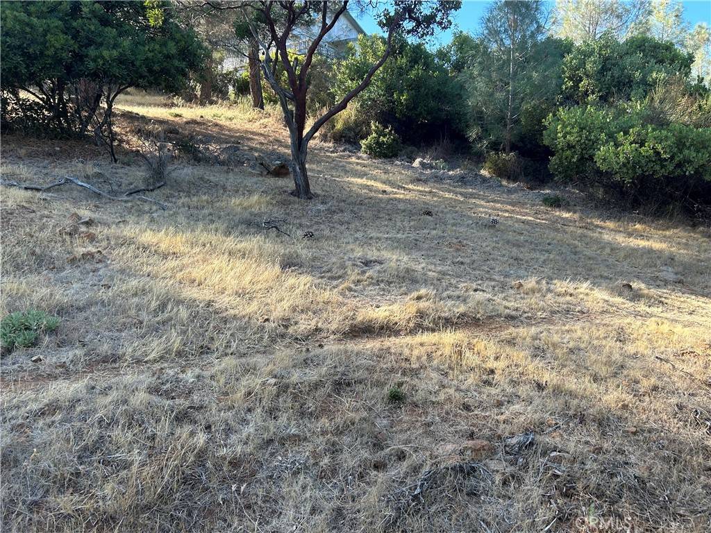 Kelseyville, CA 95451,9658 Fairway DR