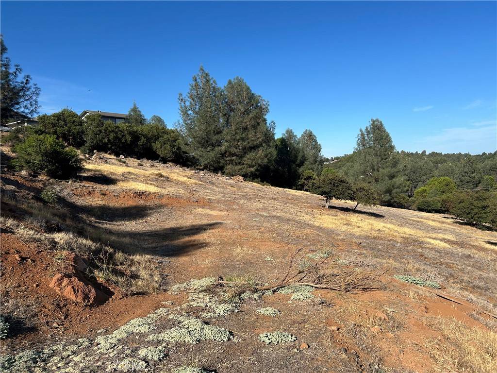 Kelseyville, CA 95451,9658 Fairway DR