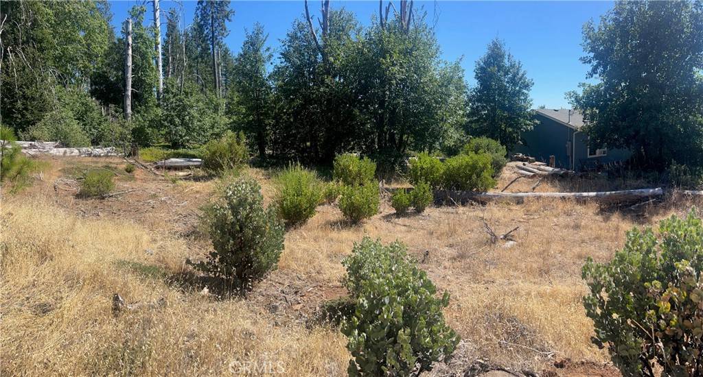 Cobb, CA 95426,11495 Pine Summit