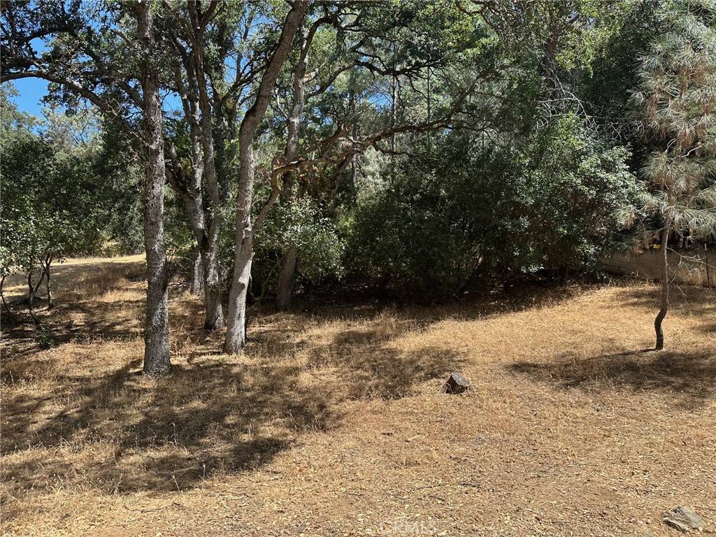 Clearlake Oaks, CA 95423,10810 Pingree RD