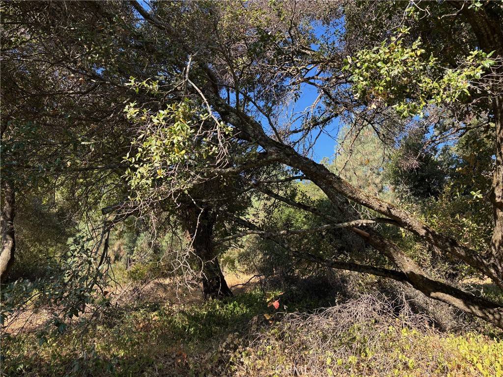 Clearlake Oaks, CA 95423,12588 Widgeon WAY