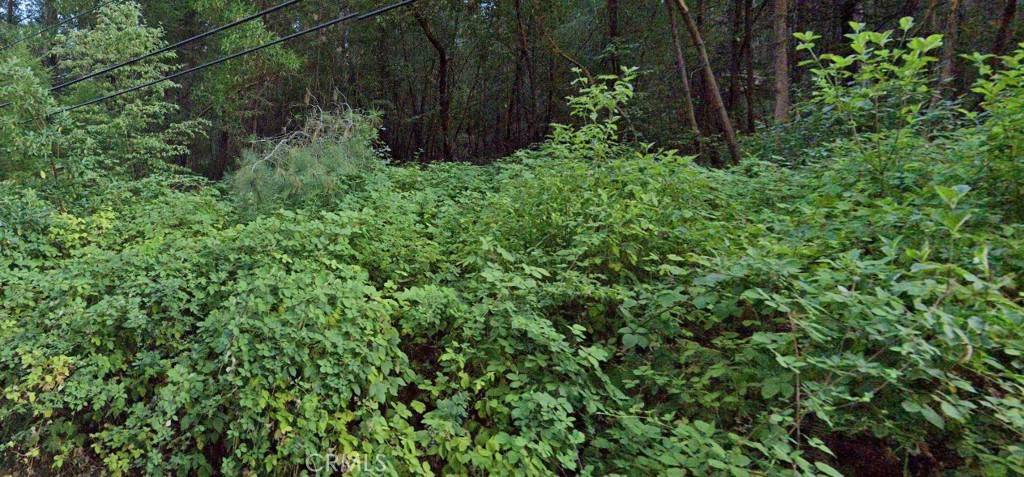 Cobb, CA 95426,15845 Bottle Rock RD