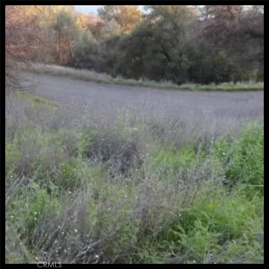 Clearlake Oaks, CA 95423,11860 Lakeview DR