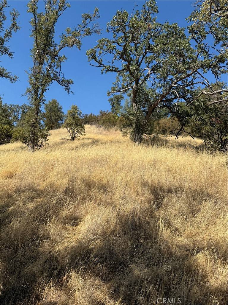 Clearlake, CA 95422,4722 Arroyo AVE