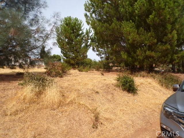 Kelseyville, CA 95451,10265 Fairway DR
