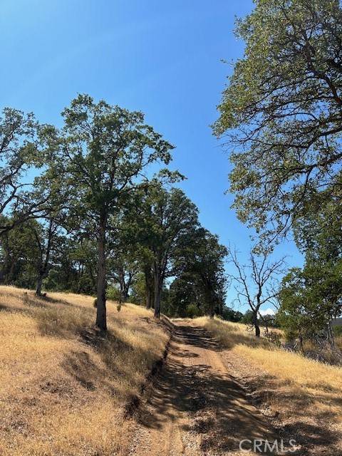 Clearlake Oaks, CA 95423,17055 E. Hwy 20