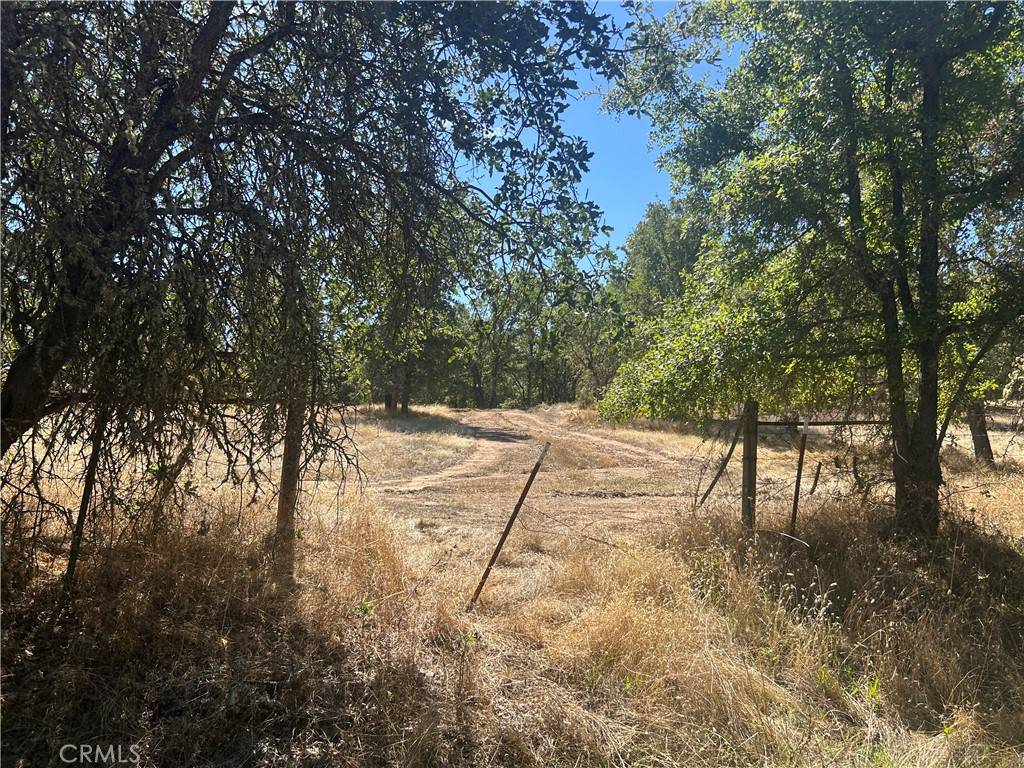 Lakeport, CA 95453,1000 Eva WAY