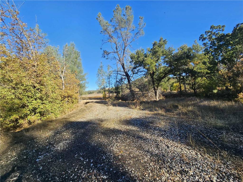 Lower Lake, CA 95457,17680 Morgan Valley RD