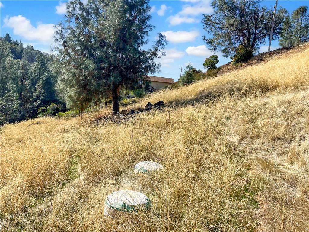 Kelseyville, CA 95451,10203 El Capitan