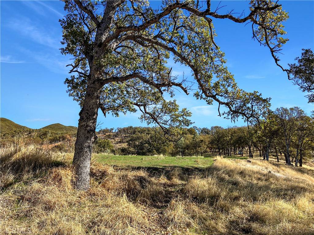 Lower Lake, CA 95457,20560 Solar Ridge