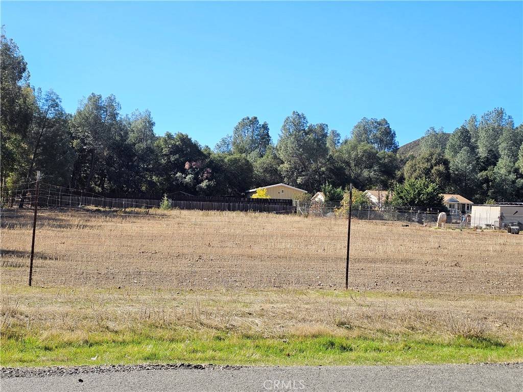Clearlake Oaks, CA 95423,3195 Spring Valley