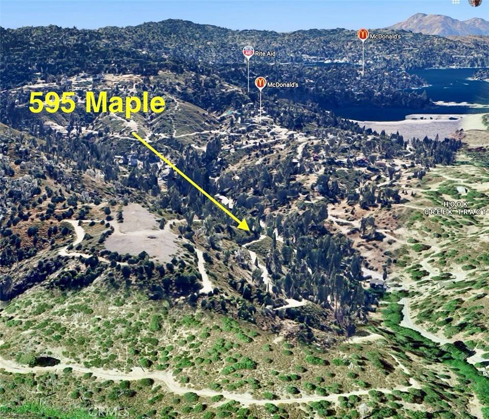 Lake Arrowhead, CA 92352,595 Maple DR