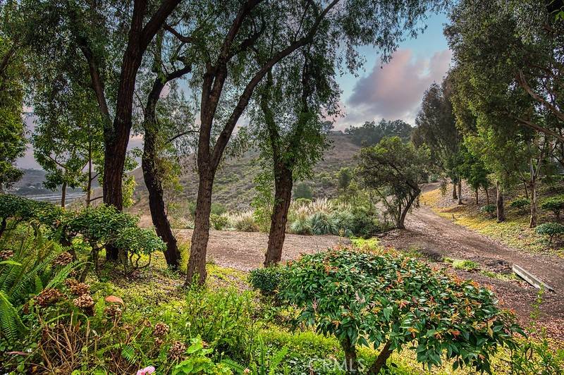 Laguna Niguel, CA 92677,25536 Rue Terrase #17