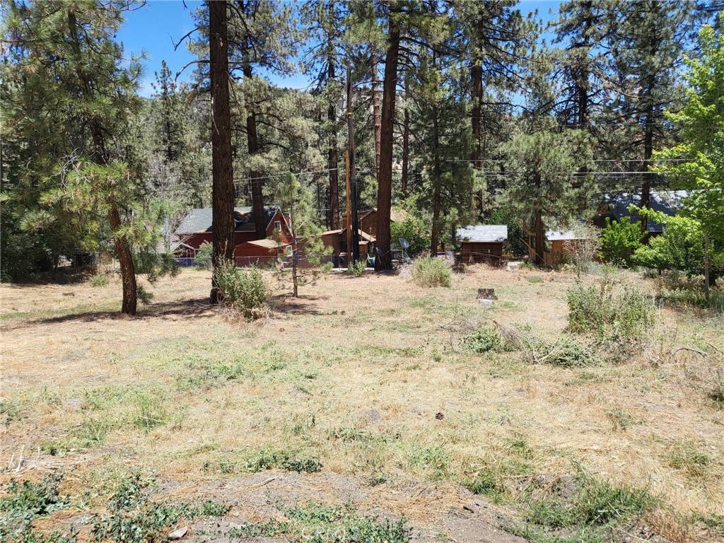 Wrightwood, CA 92887,1322 Edna ST