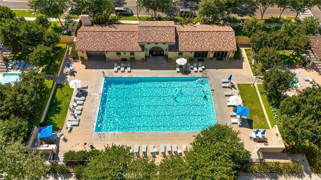 Irvine, CA 92603,45 Coriander
