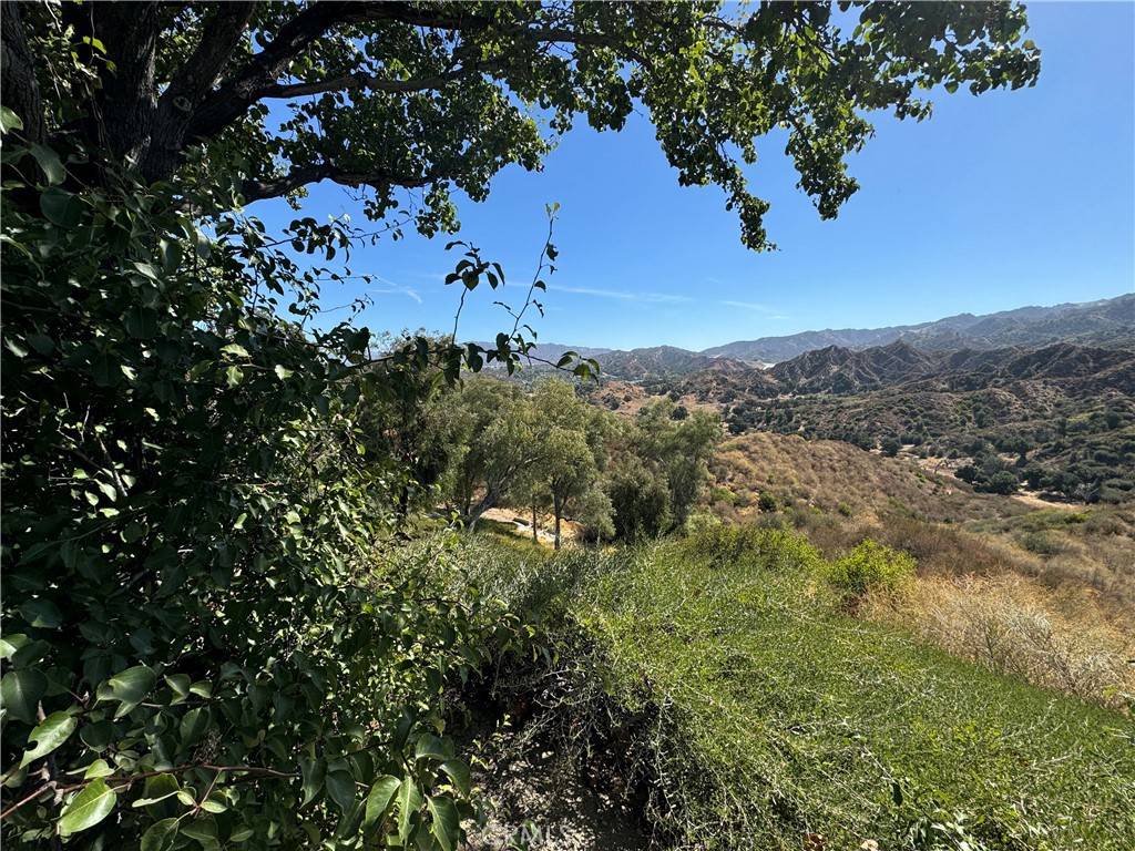 Stevenson Ranch, CA 91381,0 Chicory CT